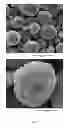 Fig. 02 - Positive electrode material having a size dependent composition
