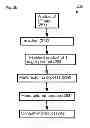 Fig. 04 - Methods and systems for processing sugar mixtures and resultant compositions