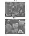 Fig. 02 - ELECTRICALLY CONDUCTIVE POLYPHENYLENE SULFIDE COMPOUNDS