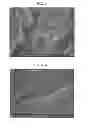 Fig. 03 - ELECTRICALLY CONDUCTIVE POLYPHENYLENE SULFIDE COMPOUNDS