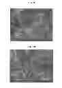Fig. 06 - ELECTRICALLY CONDUCTIVE POLYPHENYLENE SULFIDE COMPOUNDS