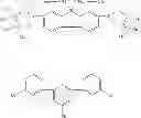 Fig. 05 - Polymer and organic electronic device
