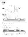 Fig. 03 - Resistor, display device, and electronic device