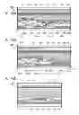 Fig. 43 - Resistor, display device, and electronic device