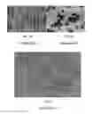 Fig. 02 - Successive ionic layer adsorption and reaction process for depositing epitaxial ZnO on III-nitride-based light emitting diode and light emitting diode including epitaxial ZnO