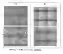 Fig. 01 - SIC epitaxial wafer and method for manufacturing same
