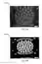 Fig. 19 - Dense-luminescent-materials-coated violet LEDs