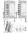 Fig. 11 - Method of forming a fully substrate-isolated FinFET transistor