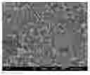 Fig. 01 - Poorly soluble drug containing microspheres with improved bioavailability and method of preparing the same
