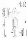Fig. 08 - METHODS OF USING NANOSTRUCTURED TRANSFER TAPE AND ARTICLES MADE THEREFROM