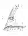 Fig. 09 - Sound insulation structure for vehicle