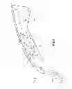 Fig. 07 - Front vehicle-body structure of vehicle