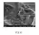 Fig. 13 - Piezoelectric device