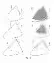 Fig. 04 - COLOR CONTROL OF DYNAMIC LIGHTING