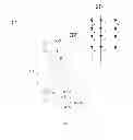 Fig. 03 - LED backlight driver circuit