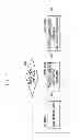 Fig. 04 - MOOD LAMP SYSTEM, METHOD OF CONTROLLING MOOD LAMP, AND MOOD LAMP CONTROLLING APPARATUS