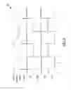 Fig. 05 - Apparatuses and methods for providing oscillation signals