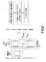 Fig. 10 - Intuitive eco-driving assistance method and system