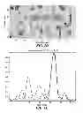 Fig. 04 - Identification and removal of a false detection in a radar system