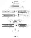 Fig. 08 - Identification and removal of a false detection in a radar system