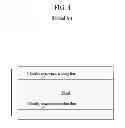 Fig. 04 - Method of driving an organic light emitting display device which prevents discernment of a sensing line