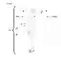 Fig. 07 - Computing interface system