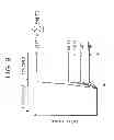 Fig. 10 - Touch sensor panel and method correcting palm input