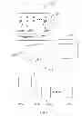 Fig. 05 - System and method for graphical processing of medical data
