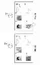 Fig. 04 - MOBILE DEVICE USER INTERFACE HAVING ENHANCED VISUAL CHARACTERISTICS