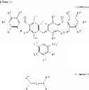 Fig. 11 - Compound having multimer structure of xanthene derivative, coloring composition, ink for inkjet recording, method of inkjet recording, color filter, and color toner