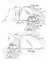 Fig. 18 - Exterior mirror system for a vehicle
