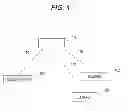 Fig. 02 - Communication apparatus, control method of communication apparatus and program