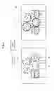 Fig. 02 - Information processing device and recording medium for face recognition