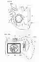 Fig. 09 - Imaging device having a display section, and imaging method therefor