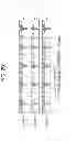 Fig. 28 - Electronic device, electronic device control method, and electronic device system