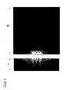 Fig. 03 - Surface light source device and its light guide plate