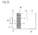 Fig. 13 - Surface light source device and its light guide plate