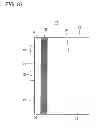 Fig. 17 - Surface light source device and its light guide plate