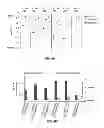 Fig. 16 - Method and algorithm for designing custom optics
