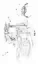 Fig. 04 - Systems and methods for balancing infrared illumination in eye imaging