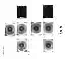 Fig. 09 - Systems and methods for balancing infrared illumination in eye imaging