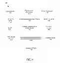 Fig. 08 - Apparatus to detect amyloid in a patient user's retina in a diagnosis, advancement and prognosis of alzheimer's disease, traumatic brain injury, macular degeneration and a plurality of neurodegenerative disorders and ocular diseases