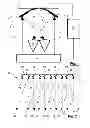 Fig. 02 - AUTOSTEREOSCOPIC PROJECTION SCREEN