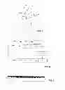 Fig. 04 - Lithography system, method of clamping and wafer table