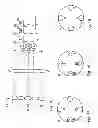 Fig. 12 - Microlithographic illumination system