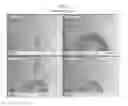 Fig. 10 - Hand held toxicity tester