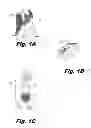 Fig. 02 - COLORIMETRIC RENDERING