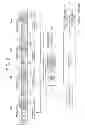 Fig. 03 - Image forming apparatus
