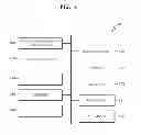 Fig. 07 - Image forming method and apparatus using near field communication