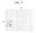 Fig. 06 - Image scanning apparatus, image compensation method and computer-readable recording medium